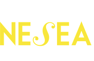 Nesea solo nome